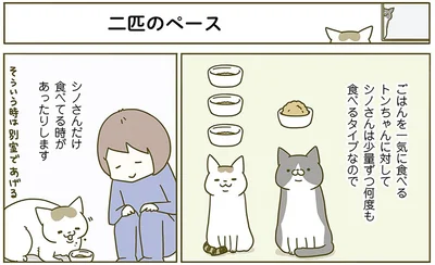 二匹のペース