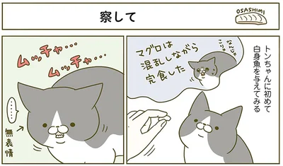 察して