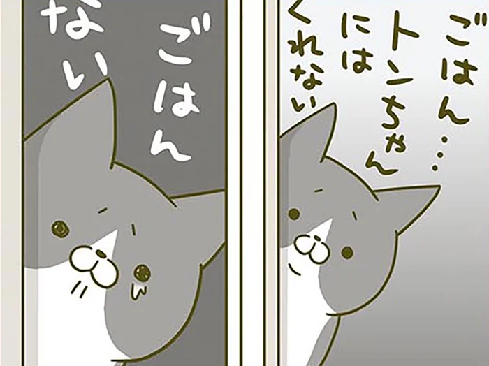 ものすごい見てる。「自分だけごはんがない」くいしんぼ猫が悲しそうにするけれど、実は