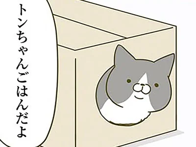 運命の段ボール箱