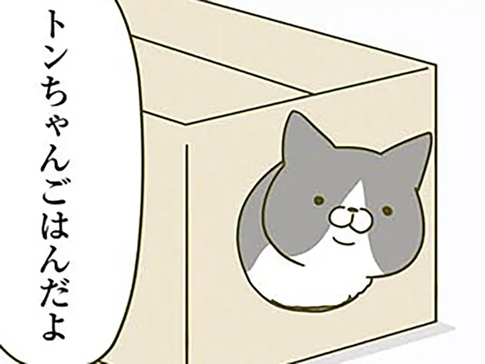 運命の段ボール箱