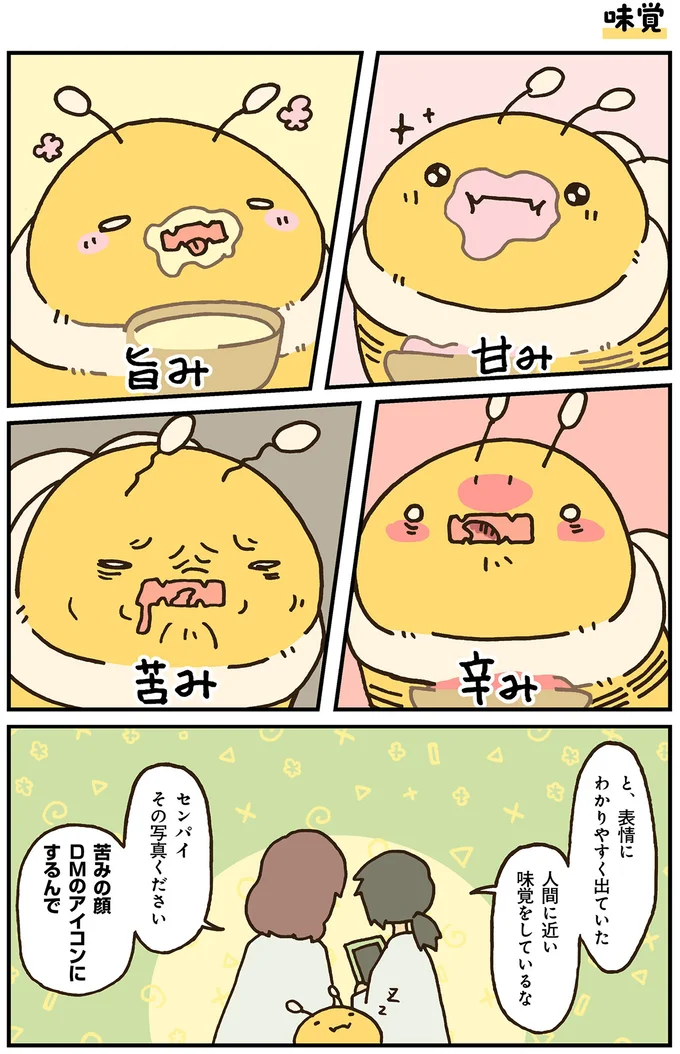 味覚