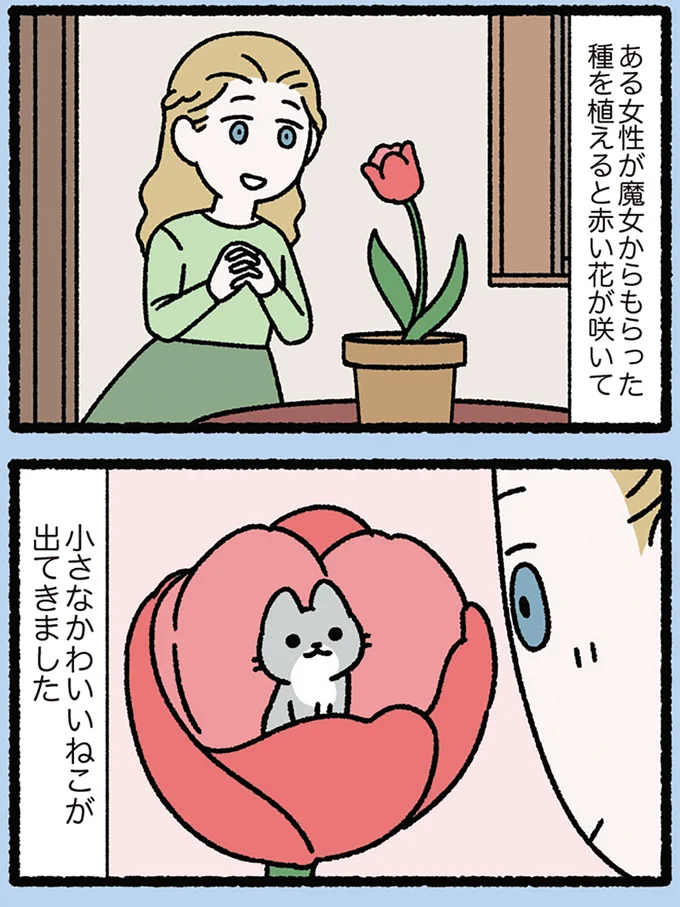 小さなかわいいねこ