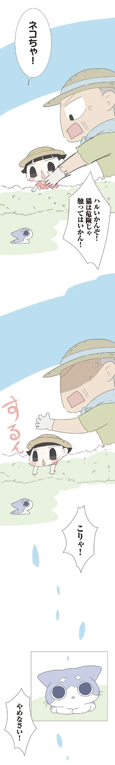 『ハルとゲン 70歳、はじめての子育て 1』より