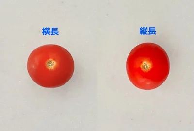 よく見ると正円じゃない！（▶次へ）