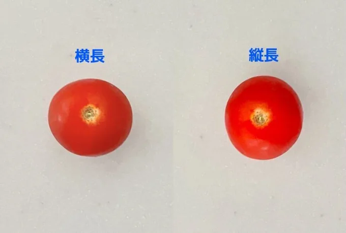 よく見ると正円じゃない!(▶次へ)