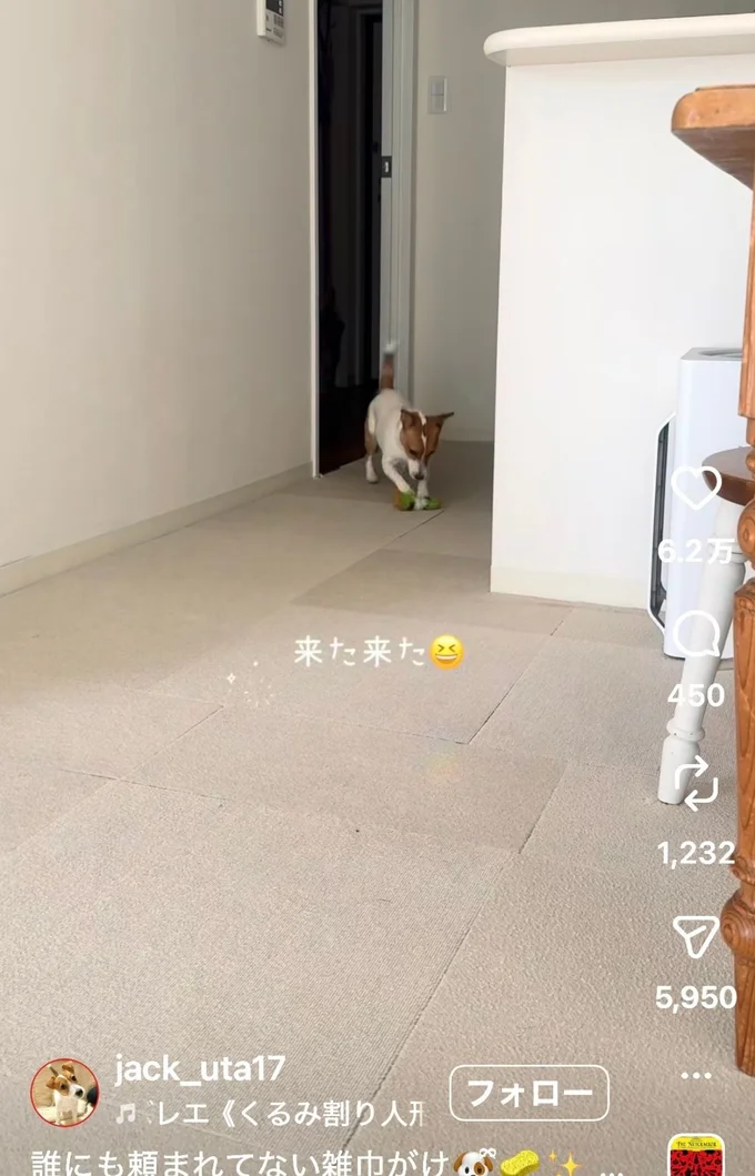 特技を披露する「うたちゃん」（⇒次へ）