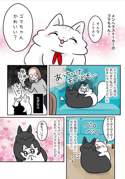 ゴマちゃんかわいい？