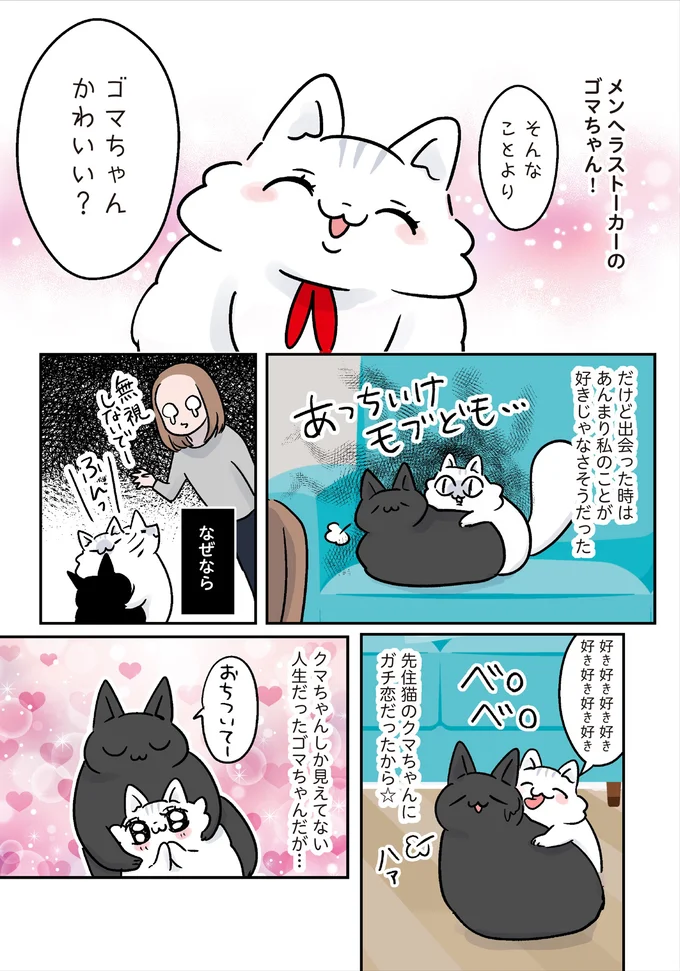 ゴマちゃんかわいい?