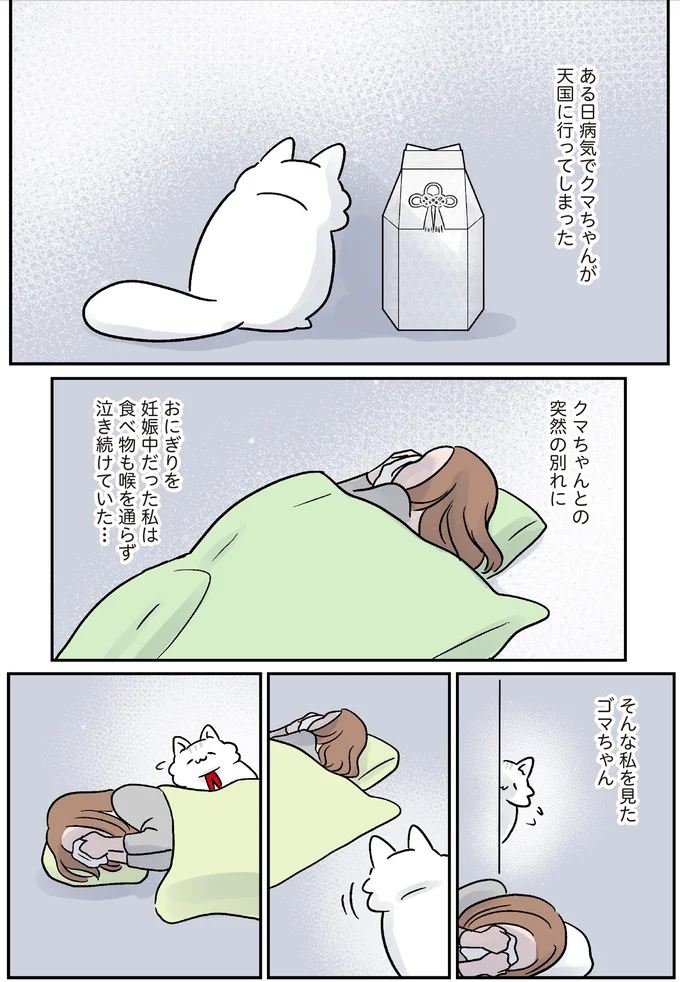 食べ物も喉を通らず泣き続けていた…
