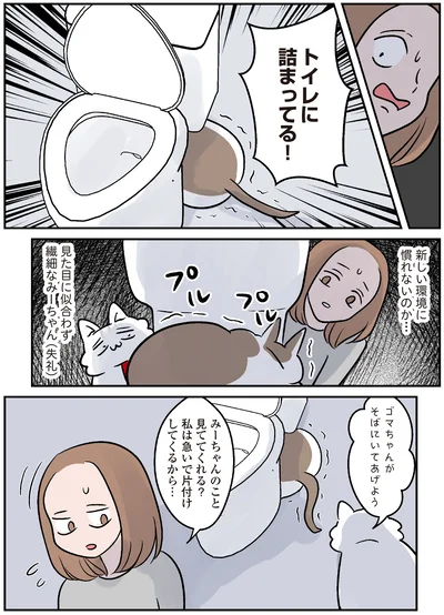 『マジレス幼児とモンペ猫　口達者な娘と過保護すぎる猫たちとの日常』より