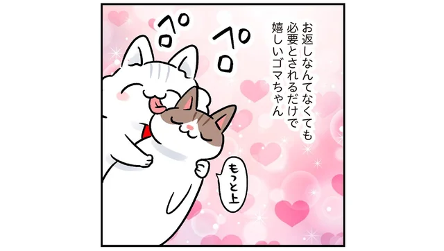 愛は同じように返ってこなくとも！尽くすことが生きがいの猫