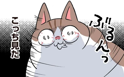 こっち見た