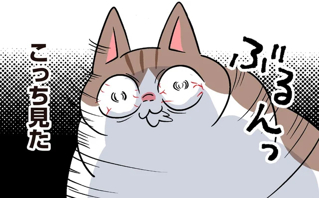 屈強なモンペ猫に致命的な弱点！？絡まれると危険なハイテンション！