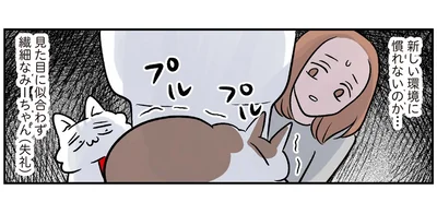 見た目に似合わず繊細なみーちゃん（失礼）