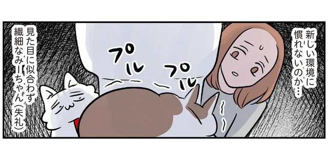 屈強な見た目に似合わず繊細！？新しい家でトイレから出られないモンペ猫