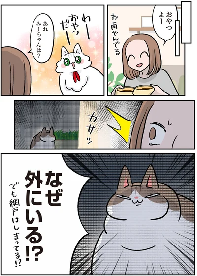 網戸はしまってる！？