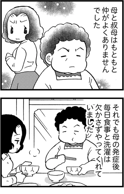 母と叔母はもともと仲がよくありませんでした