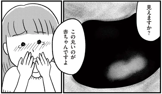 16歳の娘を連れて初めての産婦人科へ。モニターに映った丸い影／娘を妊娠させたのは誰ですか？（6）