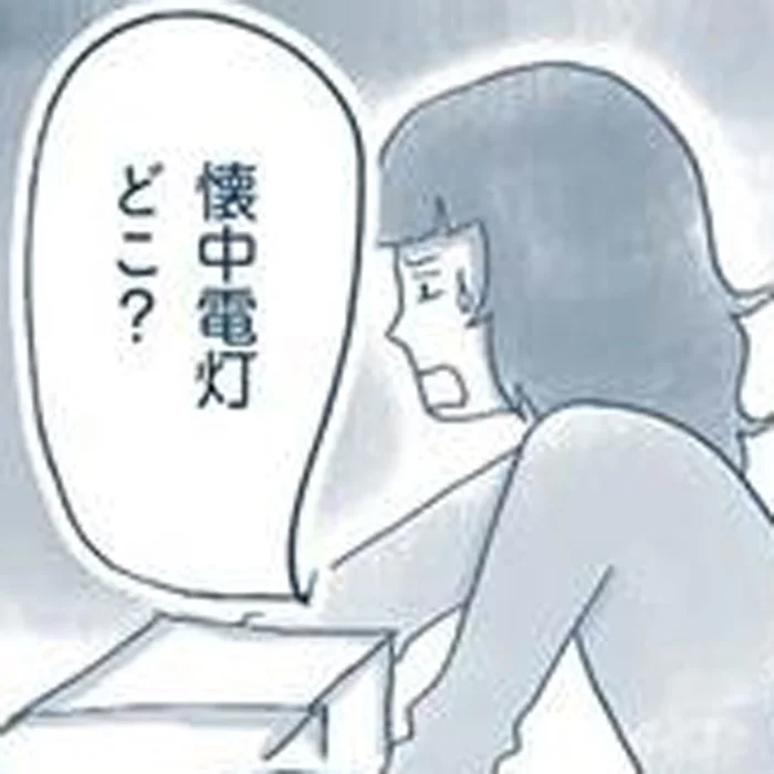 懐中電灯すら探せない！消費期限切ればかり！大地震で痛感した「物の管理」の大切さ