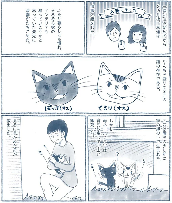 家の縁の下で生まれた