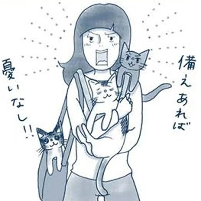 地震の被災経験がある猫飼いミニマリストが実践する、防災への備え