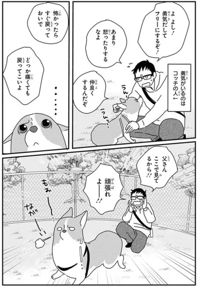 『あしょんでよッ〜うちの犬ログ〜10』より