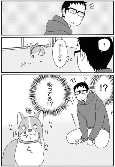 『あしょんでよッ〜うちの犬ログ〜10』より
