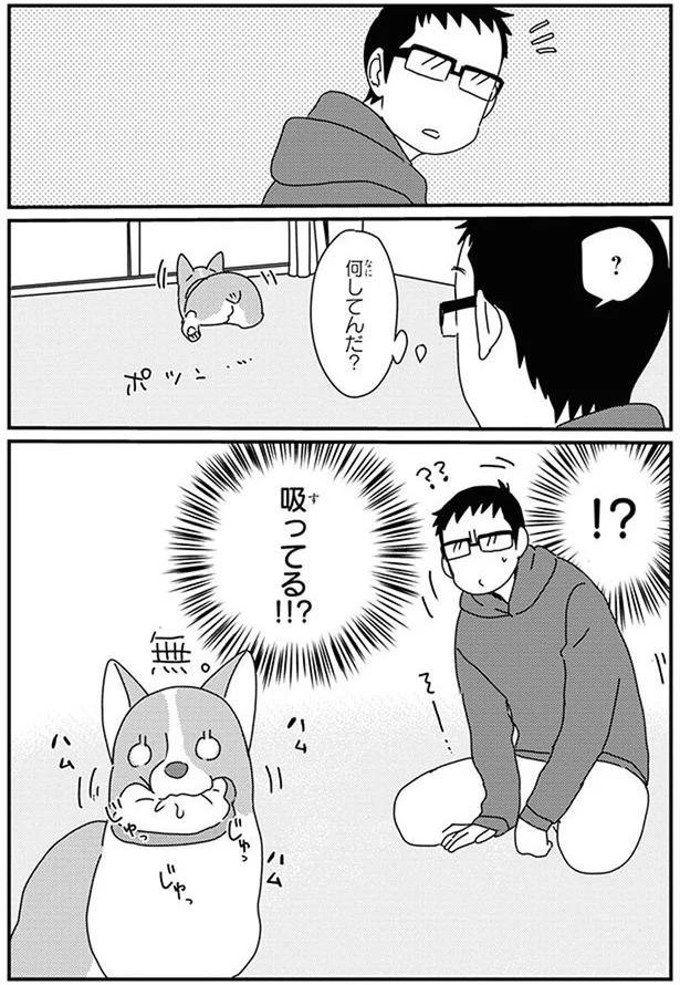 『あしょんでよッ〜うちの犬ログ〜10』より