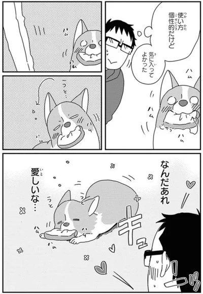『あしょんでよッ〜うちの犬ログ〜10』より
