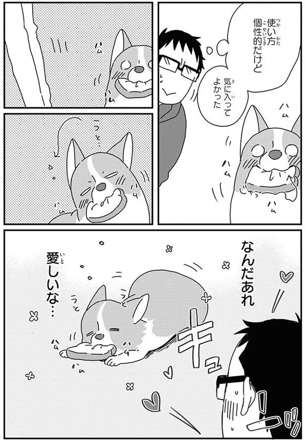 『あしょんでよッ〜うちの犬ログ〜10』より