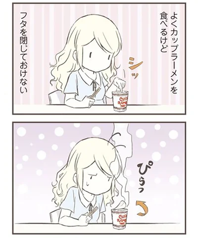 フタを閉じておけない
