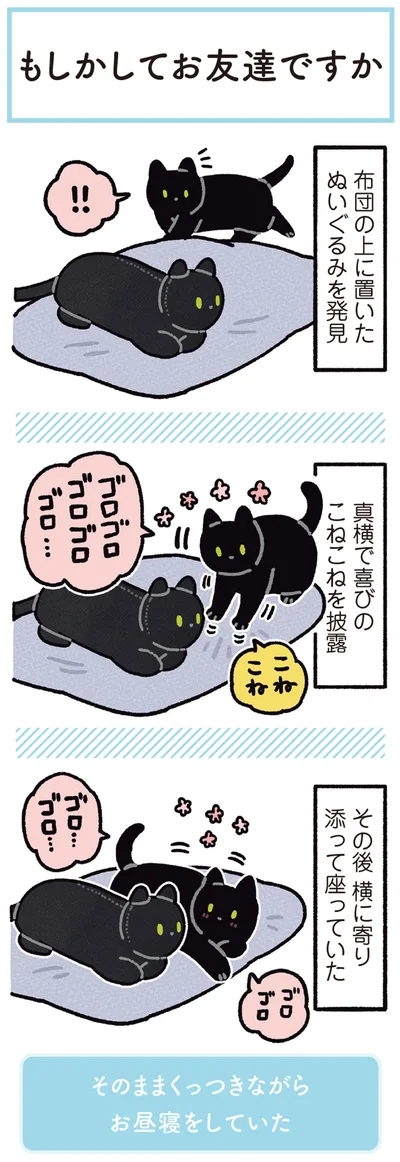 『黒猫ろんと暮らしたら5』より
