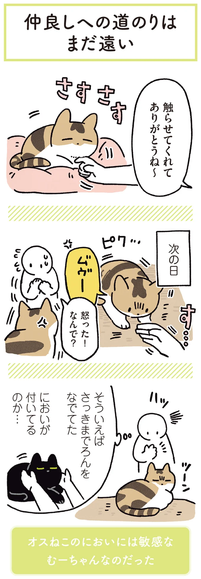 『黒猫ろんと暮らしたら5』より