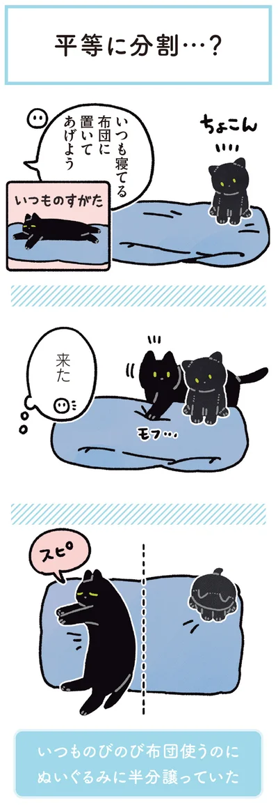 いつも寝てる布団に置いてあげよう