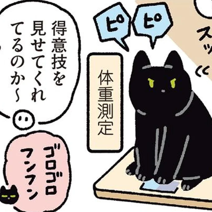 得意技を次々披露