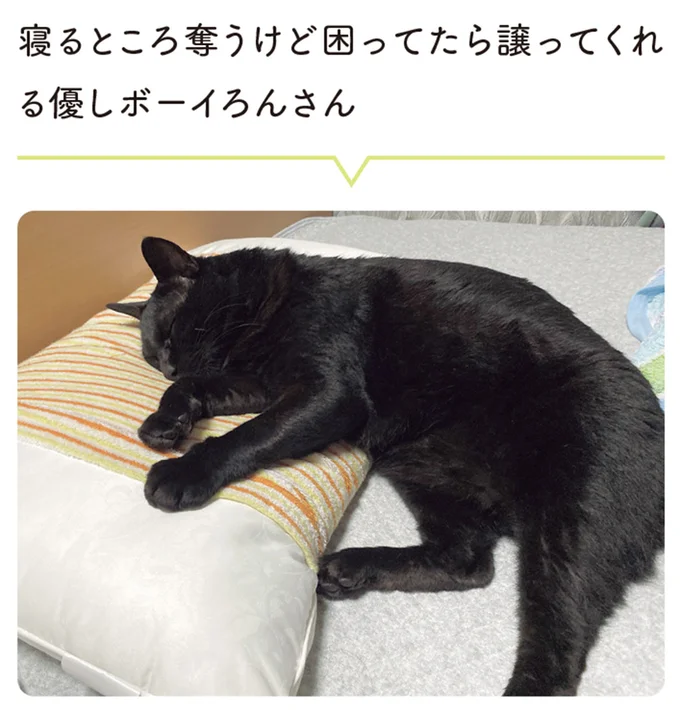 寝るところ奪うけど困ったら譲ってくれる優しボーイろんさん