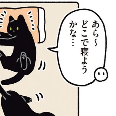 どこで寝ようかな