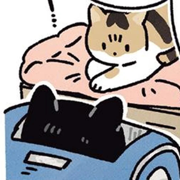弟の愛猫と再会
