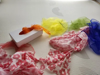 これなら何度でも遊べますね♪▶ティッシュの魅力…（⇒次へ）