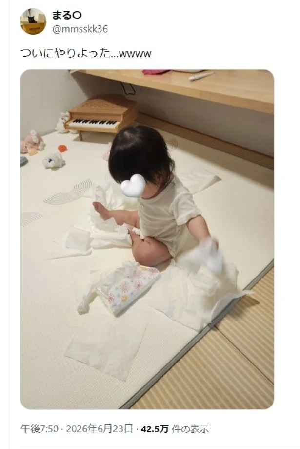 リアルティッシュ事件▶いろいろなものに興味をもつお年頃です(⇒次へ)