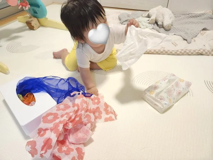 ティッシュを選びたくなるみたいです▶ワールドカップを見届ける娘さん(⇒次へ)