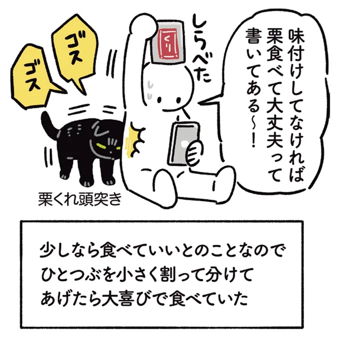 『黒猫ろんと暮らしたら6』より
