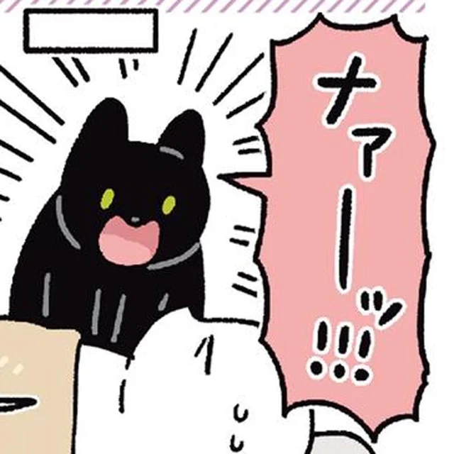 寝る前の何気ないお願いが現実に？黒猫ろんの行動にびっくり！