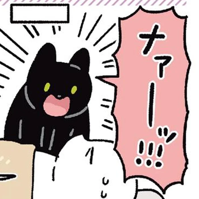 寝る前の何気ないお願いが現実に？黒猫ろんの行動にびっくり！