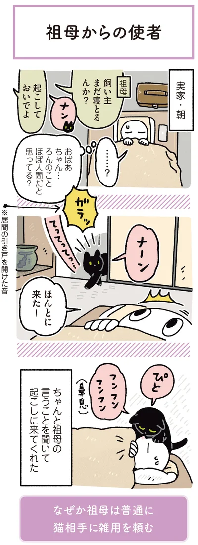 ほんとに来た！