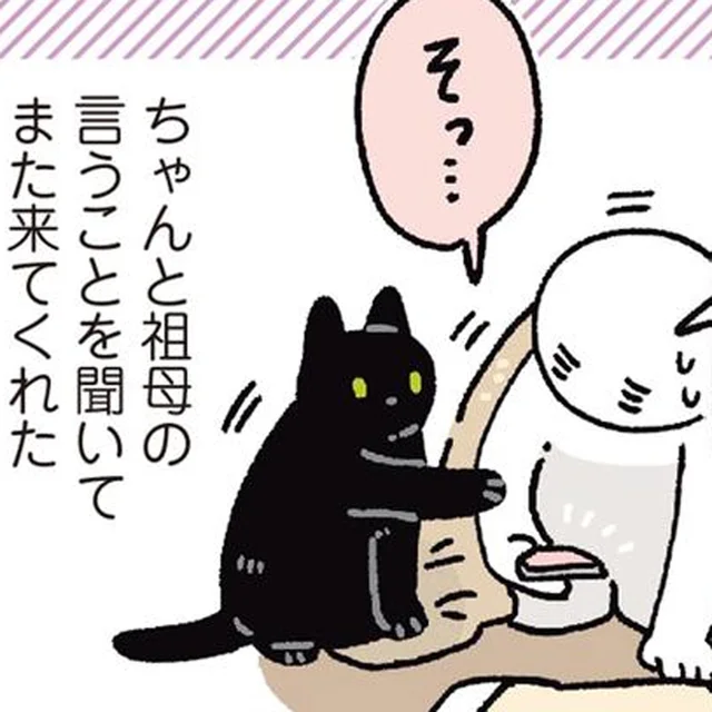 実家でもいい子全開！祖母のお手伝いをがんばる黒猫ろん