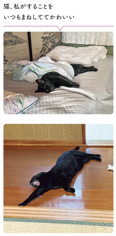 いつもまねしてかわいい