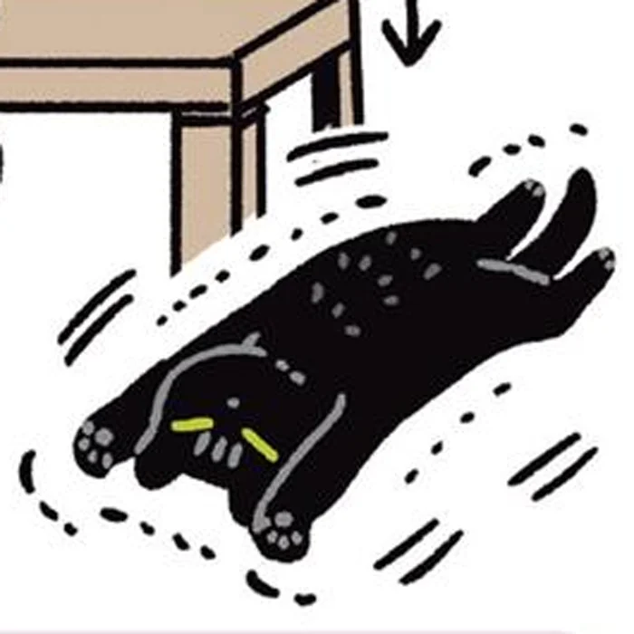 休憩だっていっしょ！寝転ぶ飼い主とシンクロする黒猫ろん