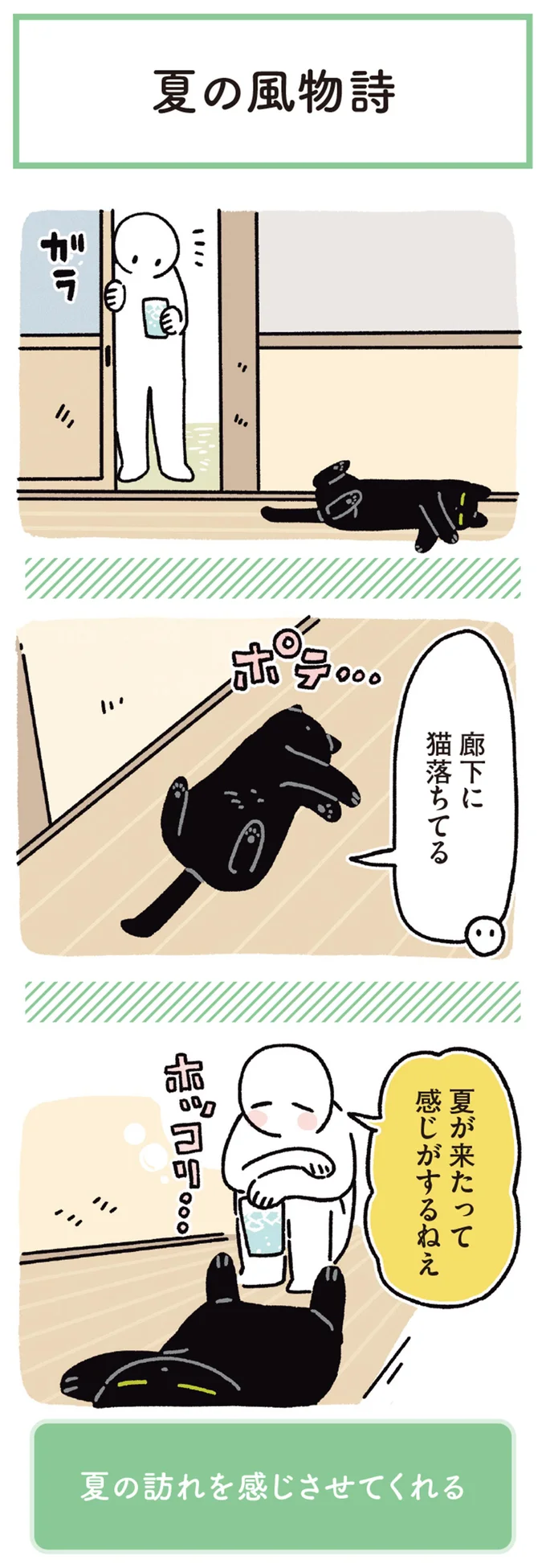 夏が来たって感じがするねえ